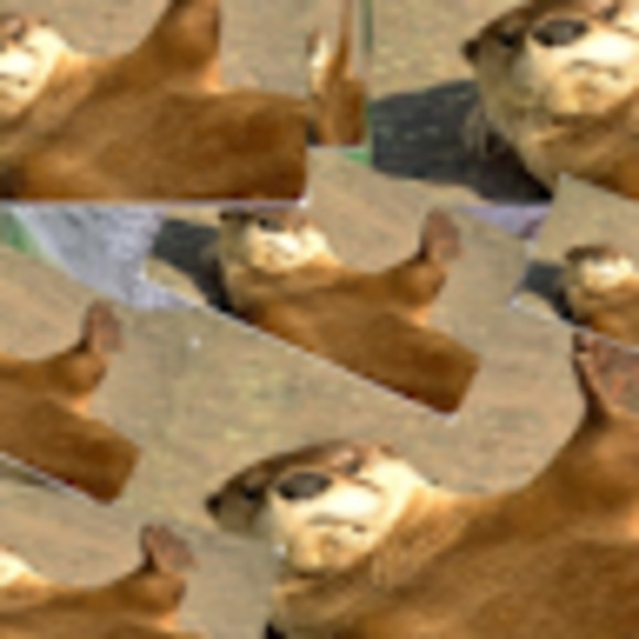 Meet your Posher, Otter - Picture 1 of 1